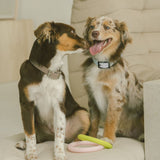 Peachy Dogs - Loop Toy