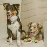 Peachy Dogs - Loop Toy