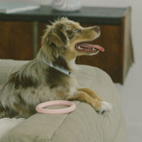 Peachy Dogs - Loop Toy