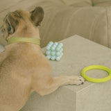 Peachy Dogs - Loop Toy