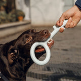 Pidan - Key Ring Toy - Blue - dogthings.co