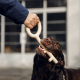 Pidan - Key Ring Toy - Pink - dogthings.co