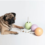 Pidan - Lollipop Dispenser Dog Toy - Purple - dogthings.co