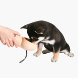 Pidan - Travel Bottle - Green - dogthings.co