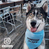 Ripley and Rue - Handsome AF Dog Bandana