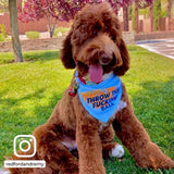 Ripley and Rue - Throw The Ball Dog Bandana