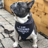 Ripley and Rue - I am Perfect Dog Bandana
