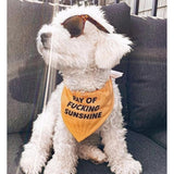 Ripley and Rue - Ray of Sunshine Dog Bandana