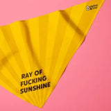 Ripley and Rue - Ray of Sunshine Dog Bandana