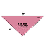 Ripley and Rue - Throw The Ball Dog Bandana