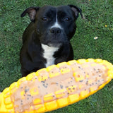 Sodapup - Corn on the Cob - dogthings.co