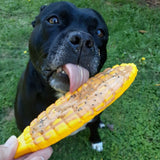 Sodapup - Corn on the Cob - dogthings.co