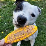 Sodapup - Corn on the Cob - dogthings.co