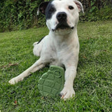 Sodapup - Grenade - dogthings.co