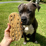 Sodapup - Peanut - dogthings.co