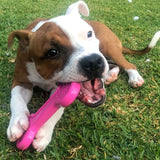 Sodapup - Pink Bone - dogthings.co
