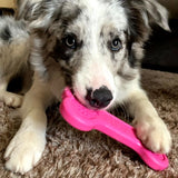 Sodapup - Pink Bone - dogthings.co