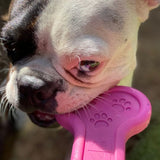 Sodapup - Pink Bone - dogthings.co