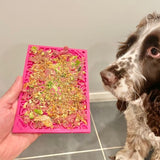 Sodapup - Licking Mat in Flower Power