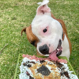 Sodapup - Jigsaw Enrichment Mat in Olive