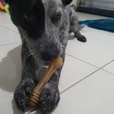 Sodapup - Honeybone Chew Bone - dogthings.co