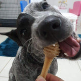 Sodapup - Honeybone Chew Bone - dogthings.co