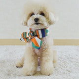 Studio Ollie - Odette Twilly Scarf - dogthings.co