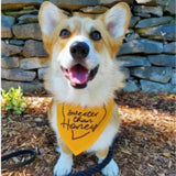 Ripley and Rue - Sweeter than Honey Dog Bandana