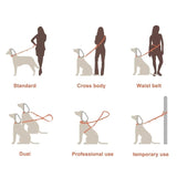 Tinklylife - 6 in 1 Rainbow Leash - dogthings.co