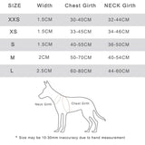 Tinklylife - Rainbow Harness - dogthings.co