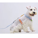 Tinklylife - Rainbow Harness - dogthings.co