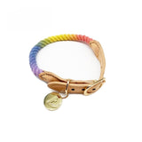 Tinklylife - Rainbow Collar - dogthings.co