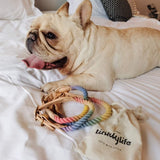 Tinklylife - Rainbow Collar - dogthings.co