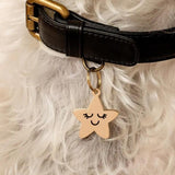 Two Tails Pet Company - Smiling Star Pet ID Tag
