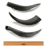 WAG - Goat Horn - Large - dogthings.co