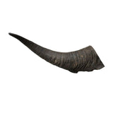 WAG - Goat Horn - Large - dogthings.co