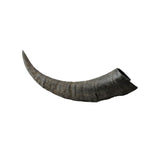 WAG - Goat Horn - Medium - dogthings.co