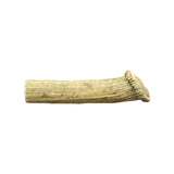 WAG - Split Deer Antler - Large - dogthings.co