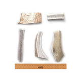 WAG - Split Deer Antler - Small - dogthings.co