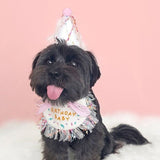 dogthings - Birthday Bib and Hat Set