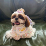 dogthings - Birthday Bib and Hat Set