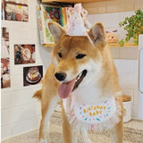 dogthings - Birthday Bib and Hat Set