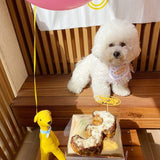 dogthings - Birthday Bib and Hat Set