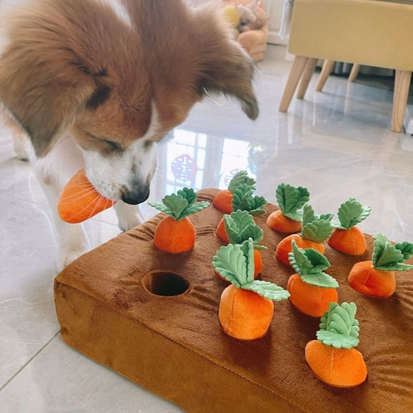 dogthings Large Carrot Enrichment Toy