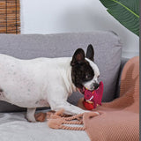 HugSmart - Dinosaur Dog Toy - Rexy