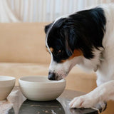 Peachy Dogs - Ceramic Dog Bowl in Cream