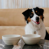 Peachy Dogs - Ceramic Dog Bowl in Cream