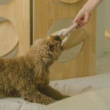 Peachy Dogs - Chewy Toy