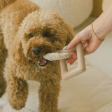 Peachy Dogs - Chewy Toy