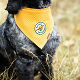 Scout's Honour - Nature Enthusiast Iron-on Patch